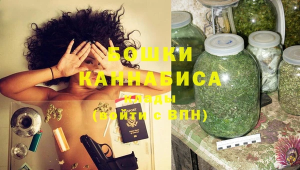 молекула духа Богородск