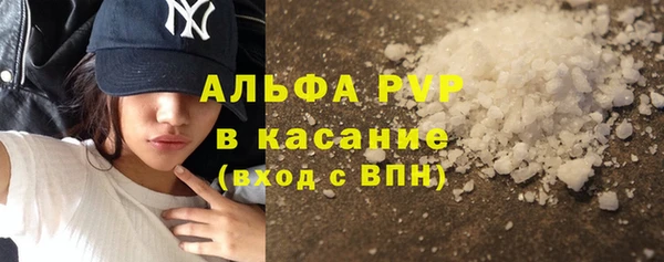 молекула духа Богородск