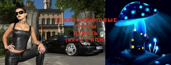 молекула духа Богородск