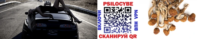 Псилоцибиновые грибы Psilocybine cubensis Среднеуральск